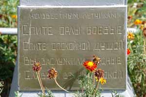 братская могила в   Вишневом  (с.Крюковщина)