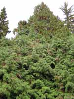 Увеличить...(фото 2006г.)