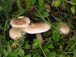 Увеличить...(фото 2006г.)